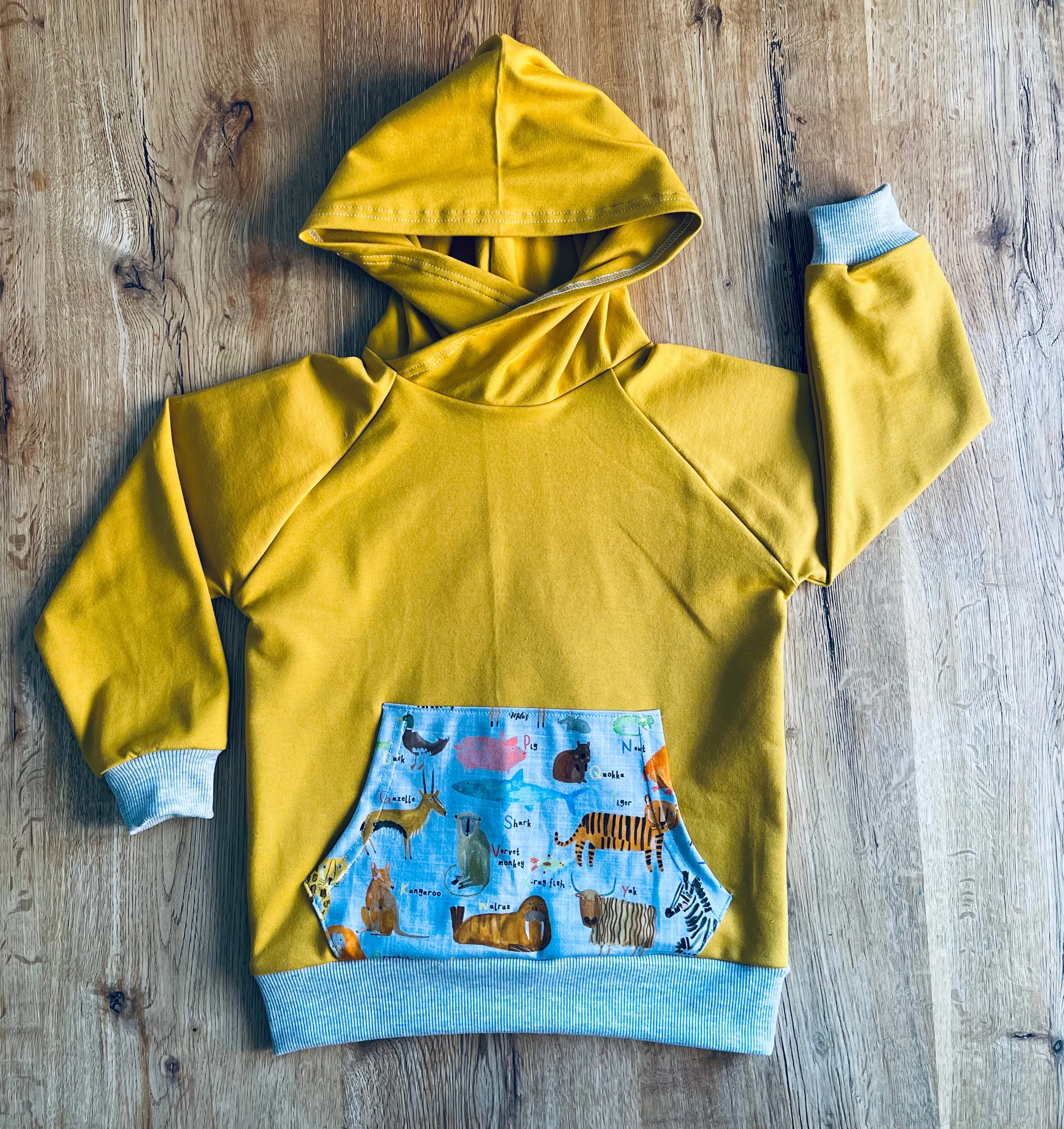 AlphaZoo Hoodie - Age 6