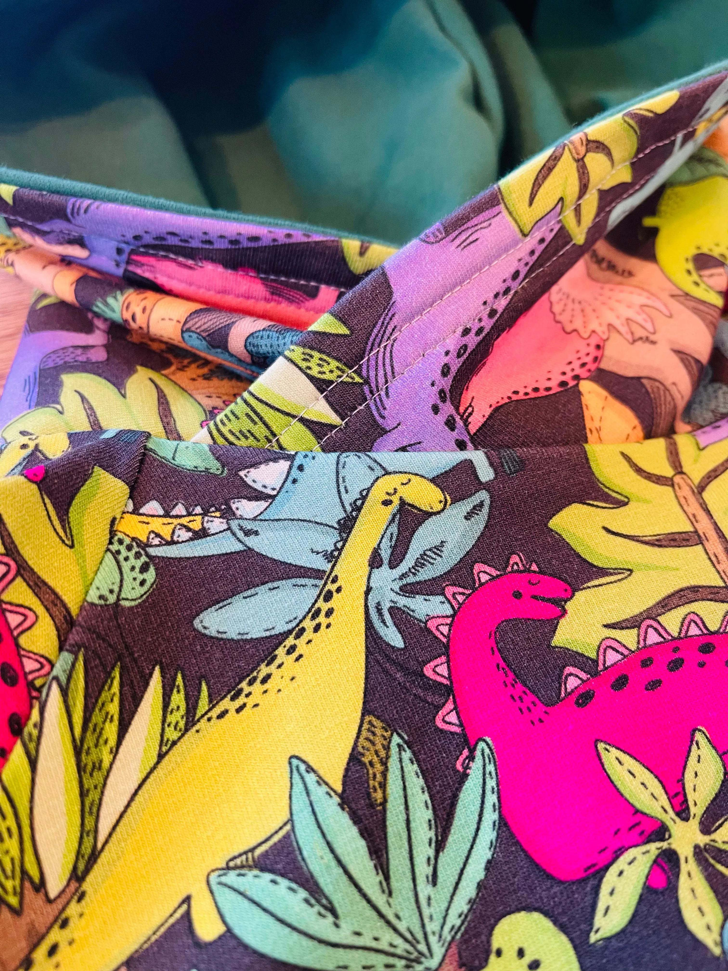 Dinosaurs Hoodie