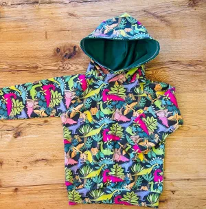 Dinosaurs Hoodie