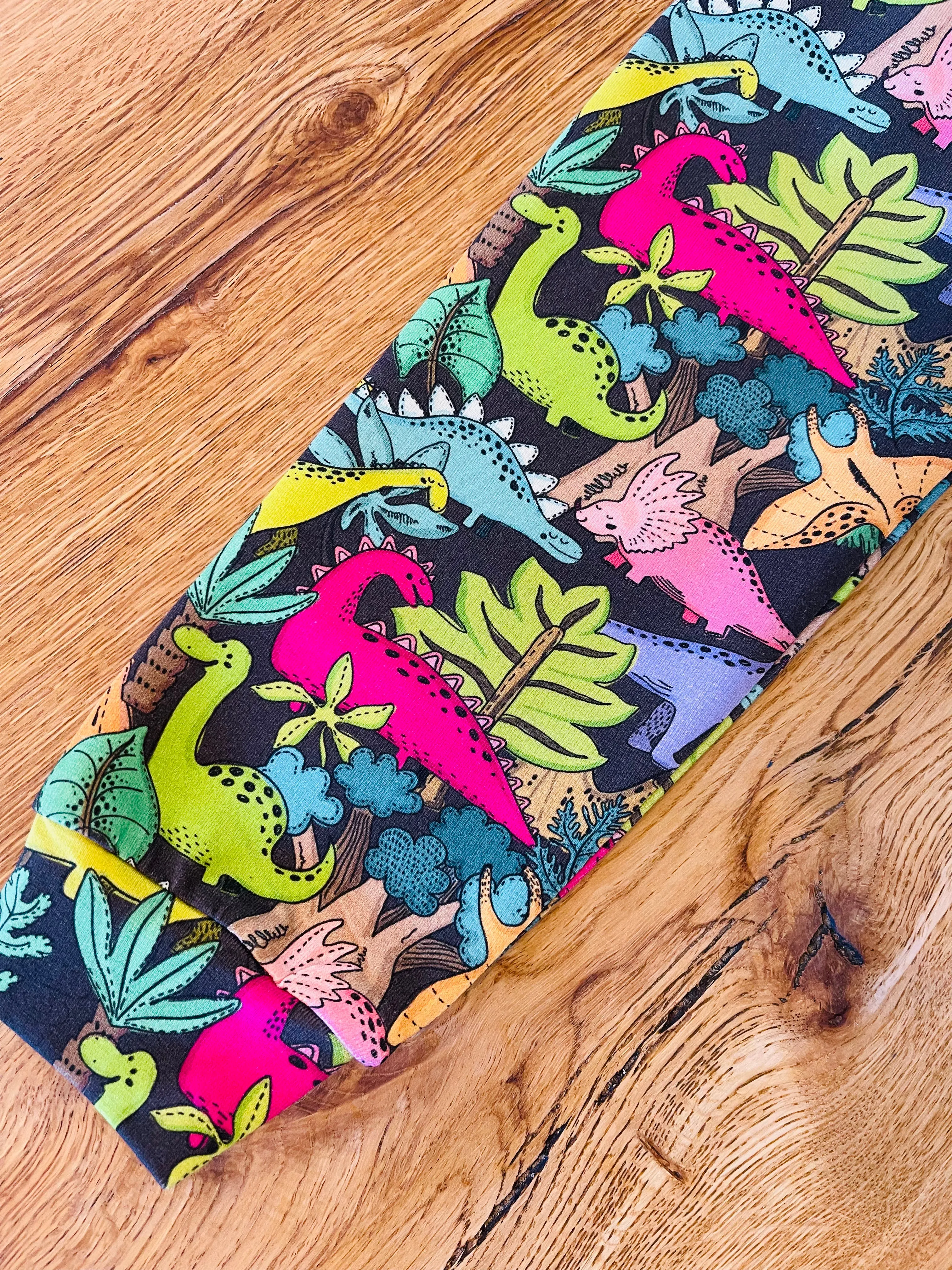 Dinosaurs Hoodie
