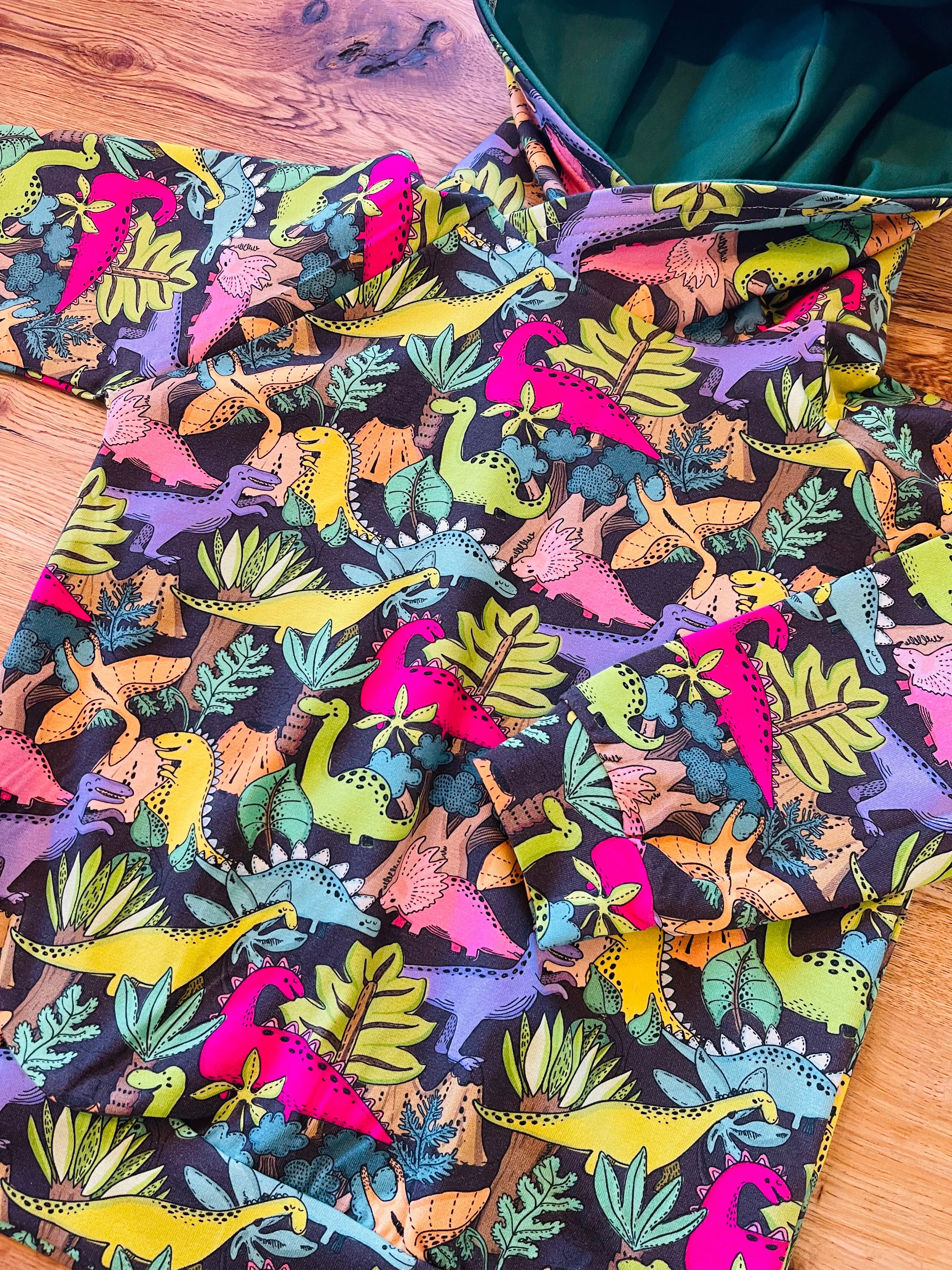 Dinosaurs Hoodie