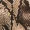 Snake Print Cross Over Bodysuit