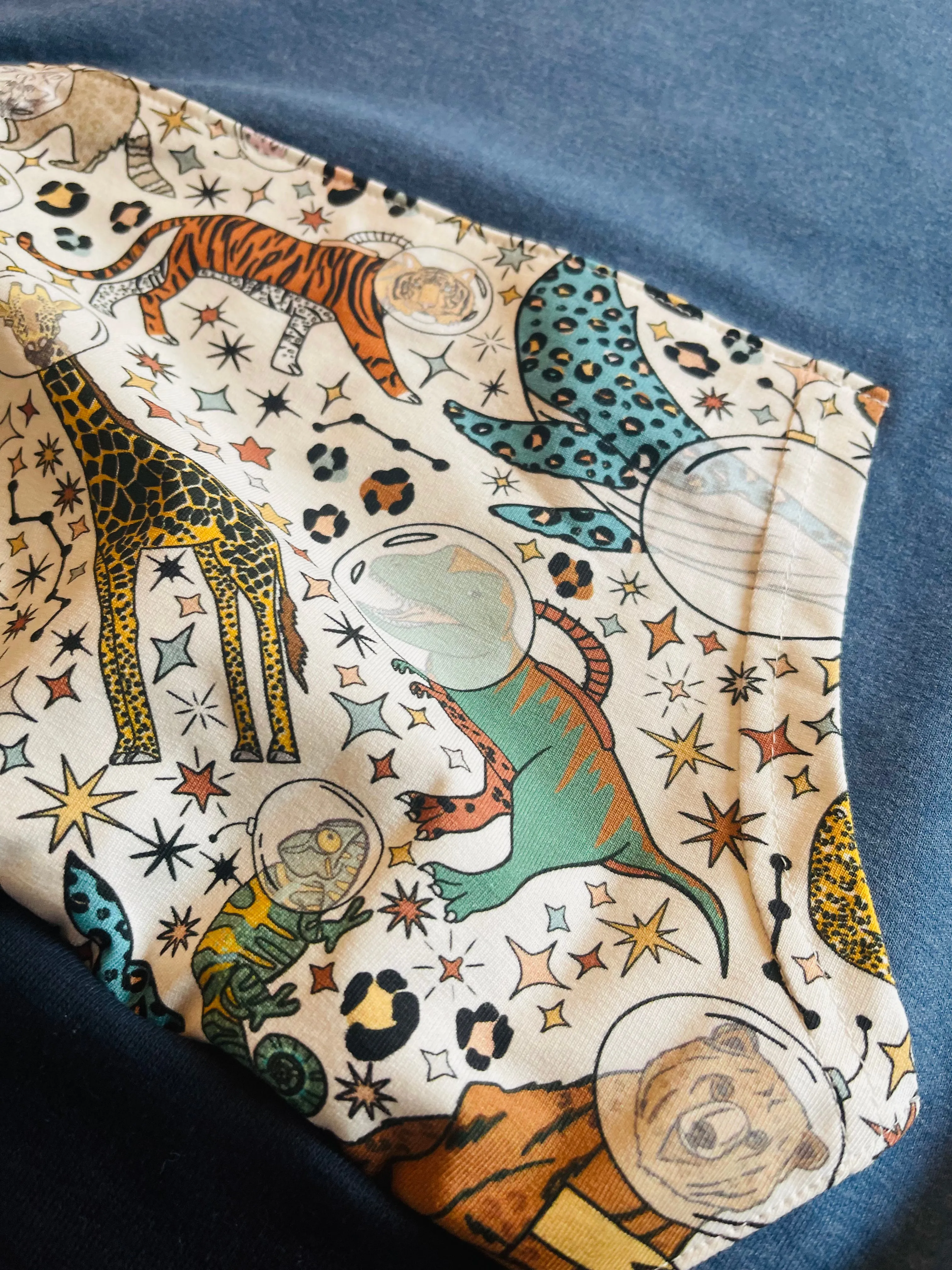 Space Animals Hoodie - Age 9