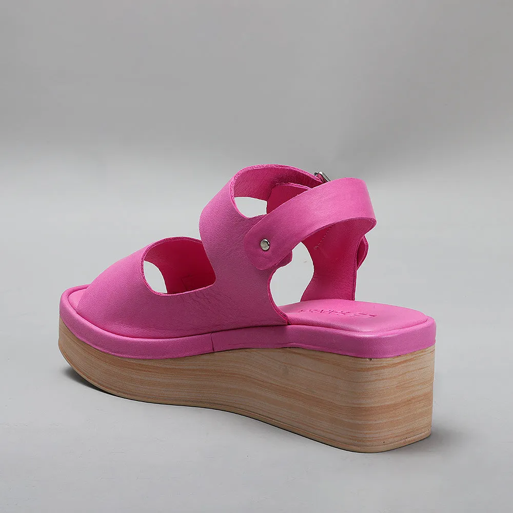 True - Fuchsia