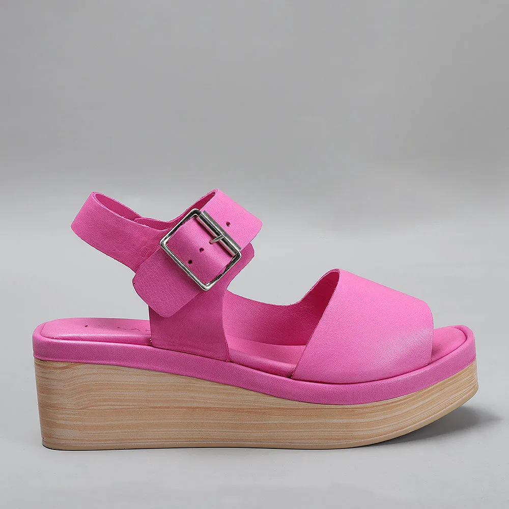 True - Fuchsia