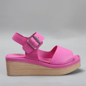 True - Fuchsia