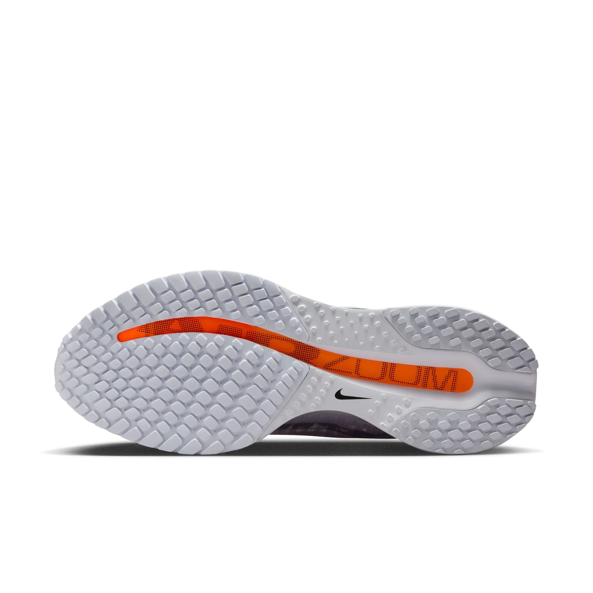 Womens Nike Pegasus Premium 'Airscape'